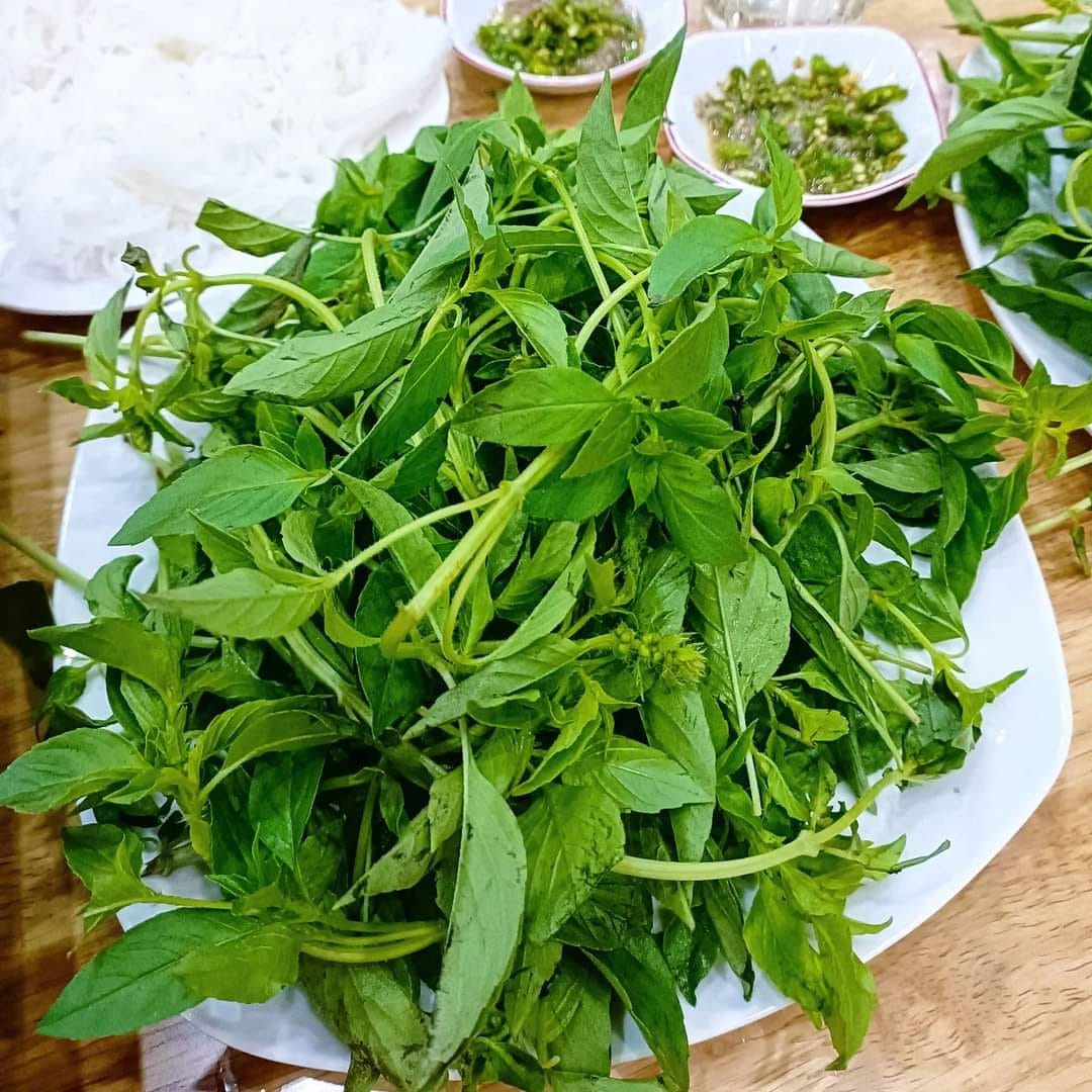 Lá é tươi đặc trưng